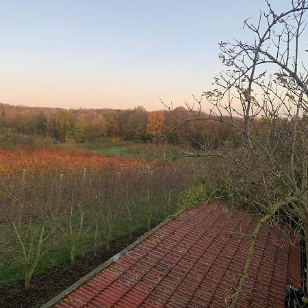 Mon Repos Villa Saint-Brice-sous-Forêt Buitenkant foto