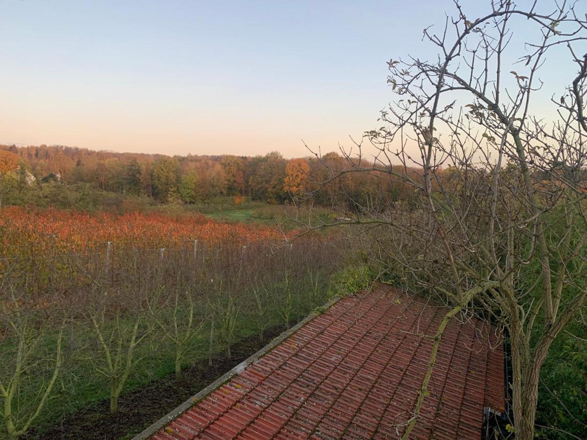 Mon Repos Villa Saint-Brice-sous-Forêt Buitenkant foto